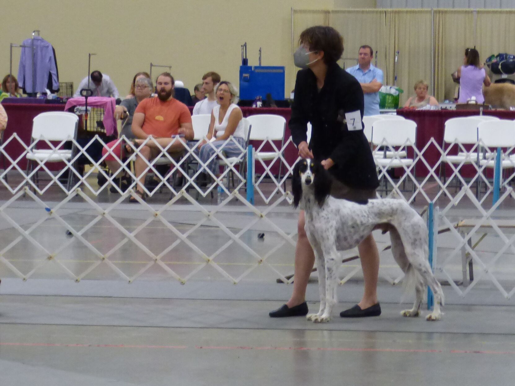 080922-nws-dog-show-jamie.jpg